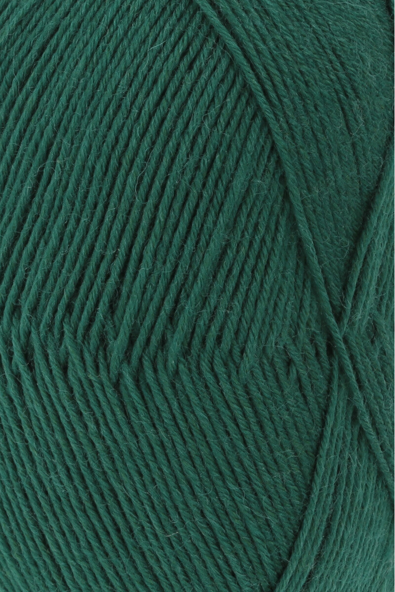 Super Soxx 6 ply 907.0118
