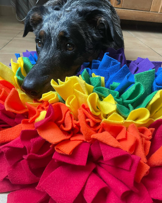 Snuffelmat