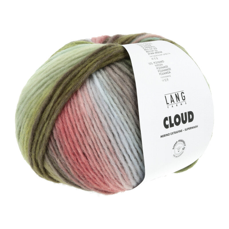 Cloud 1077.0020