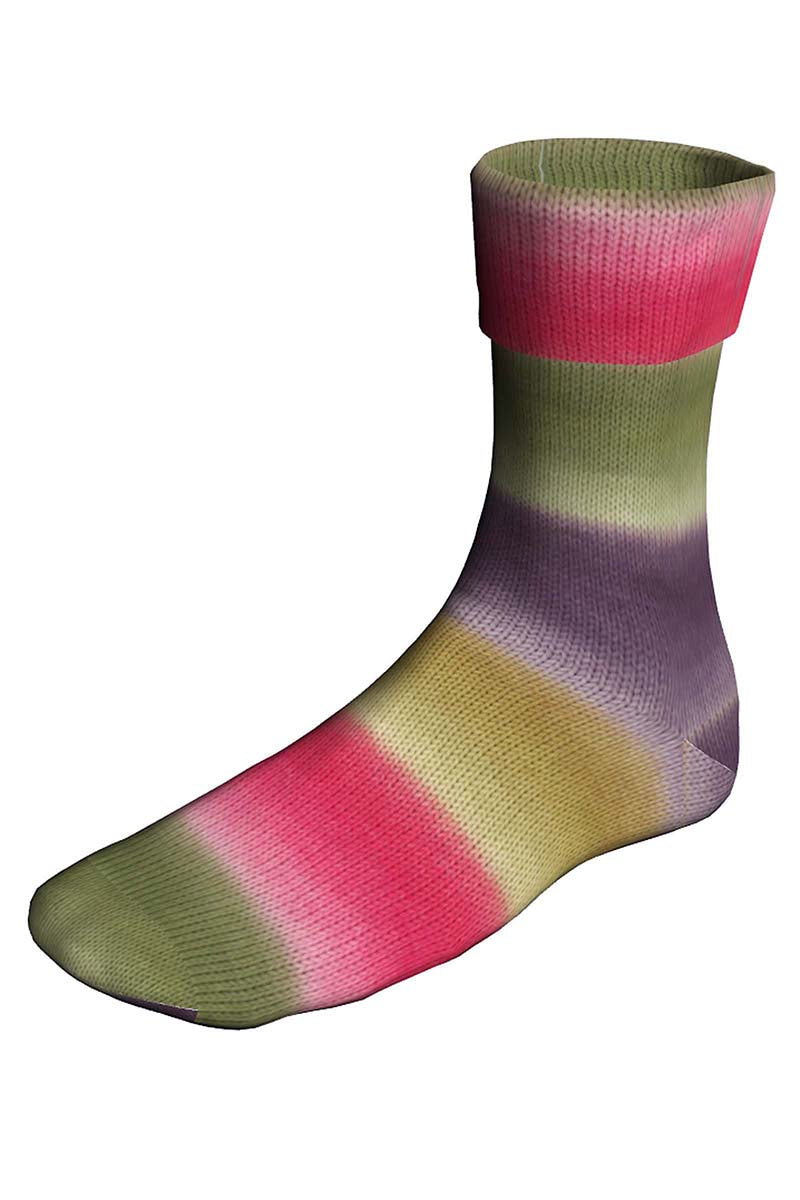 Super soxx color 901.0509